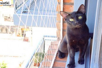  Tania, beżowa siatka ochronna dla kota na balkon 
