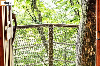  Ochrona altanki ogrodowej — Skuteczne zabezpieczenie przed ptakami 