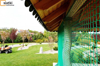  Siatka z dużym oczkiem na werandę altanki — Dobre zabezpieczenie altanki ogrodowej 