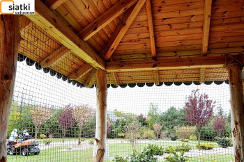  Ochrona altanki ogrodowej — Skuteczne zabezpieczenie przed ptakami 