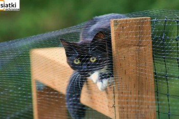  Odporny i bezpieczny sznurkowy system ochronny dla kota na balkon 