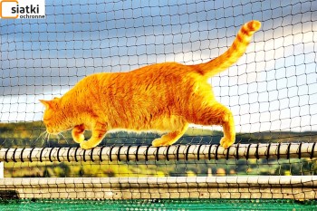  Doskonałe zabezpieczenie balkonu — Siatka sznurkowa dla kota 