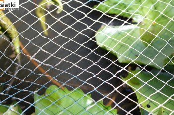  Siatka chroniąca oczko wodne przed liśćmi — Doskonałe zabezpieczenie 