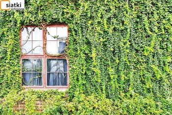  Doskonała na rośliny pnące — Siatka wspomagająca porośnięcie ściany 