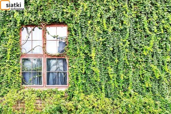 Siatka pomagająca pnączom na porastanie ścian — Dobre do uprawy roślin pnących 