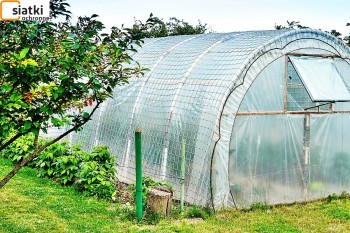  Zabezpieczenie foli na tunelu dla uprawy warzyw przed wiatrem — Dobre zabezpieczenie przed wiatrem tunelu z folii 